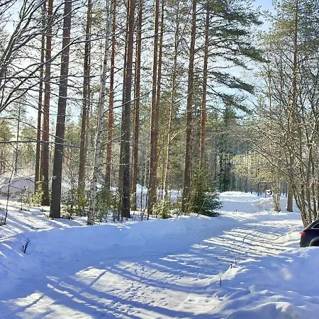 Semesterbostad Largehouse Activities & Local Guide Rovaniemi