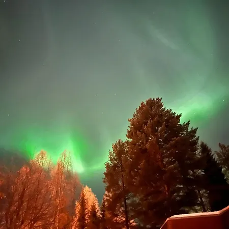Largehouse Activities & Local Guide * ロヴァニエミ