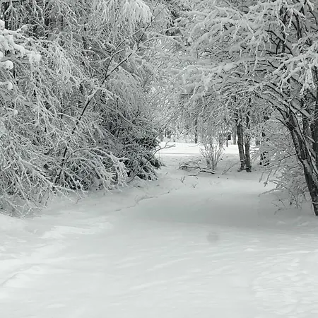 Largehouse Activities & Local Guide בית נופש