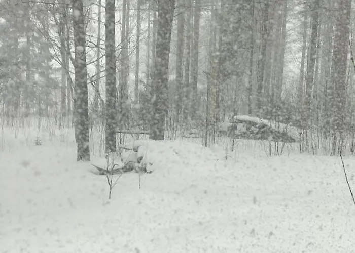 Largehouse Activities & Local Guide