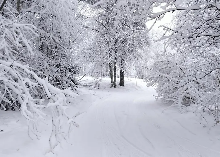 בית נופש Largehouse Activities & Local Guide רובניימי