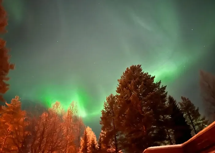 Largehouse Activities & Local Guide * רובניימי