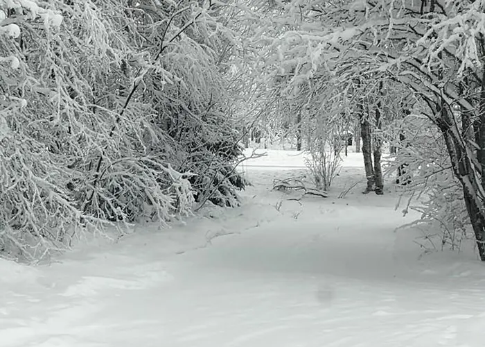 Largehouse Activities & Local Guide בית נופש